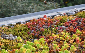 the cost of Poundsgate green roof installation